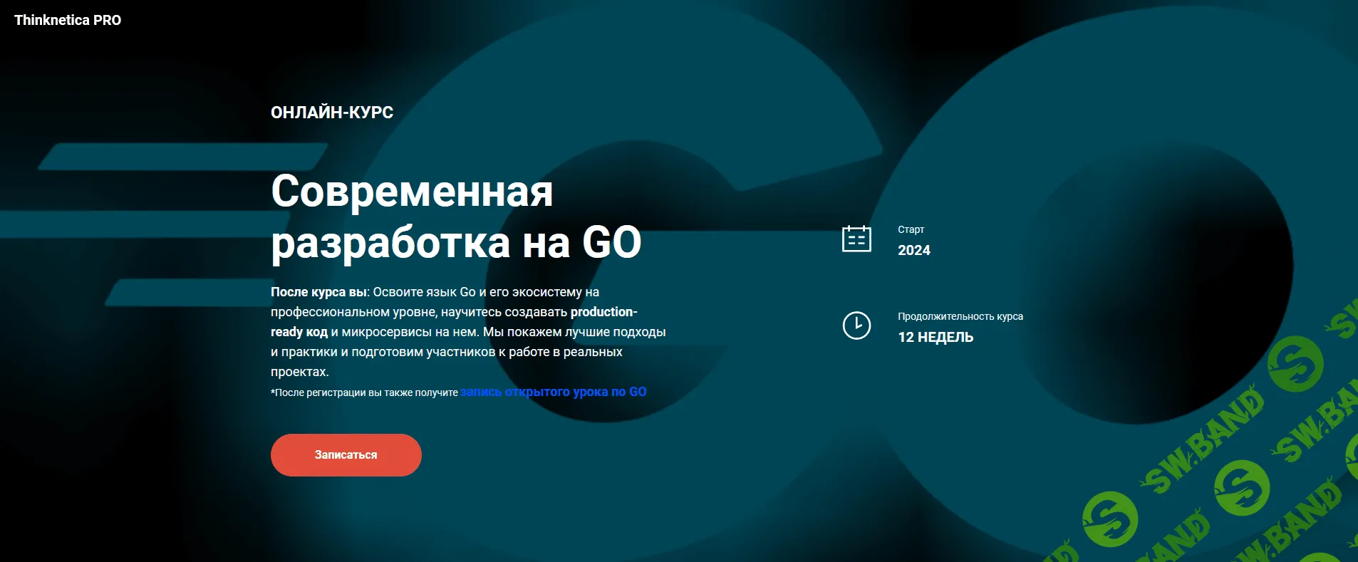 [Thinknetica] Cовременная разработка на GO (2023)