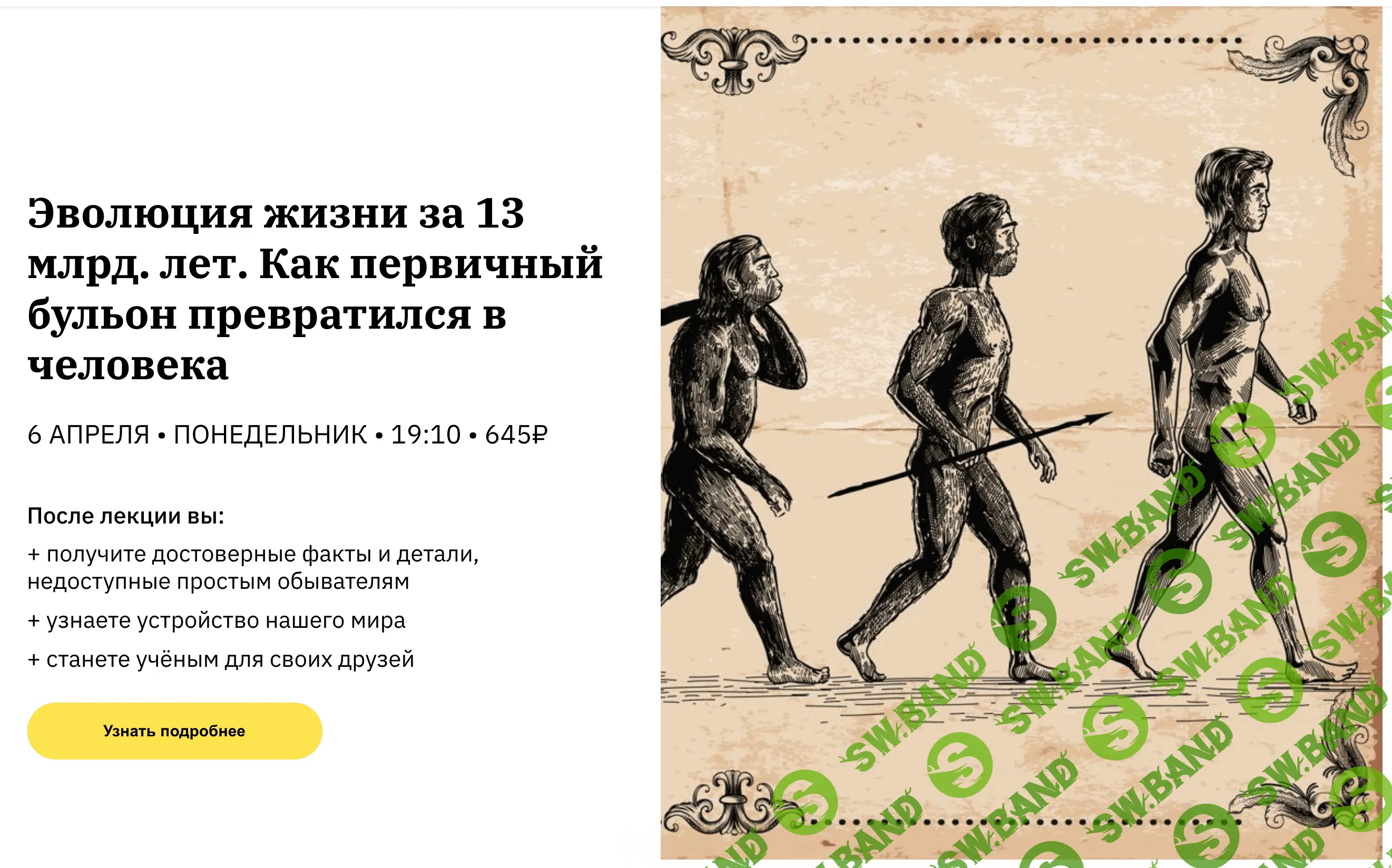 [Тимур Денисов] Эволюция жизни за 13 млрд. лет. Как первичный бульон превратился в человека (2020)