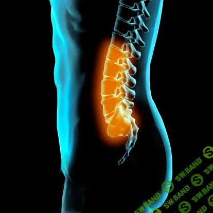 [Тина Митусова] Цигун для позвоночника