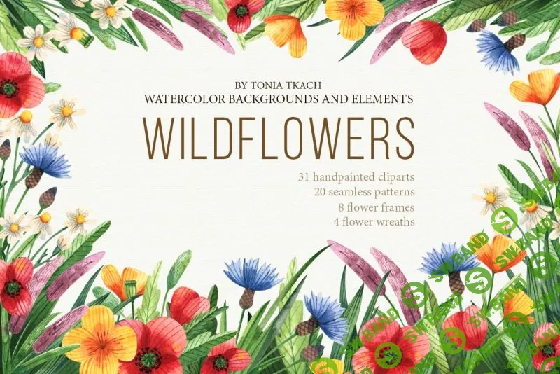 [Тоня Ткач] Выходные с иллюстратором. Онлайн-практика (2018)