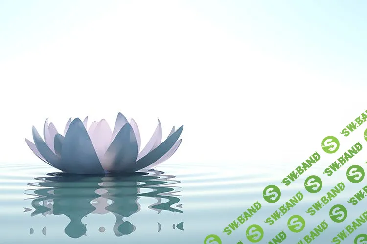 ТОП-12 простых способов успокоиться