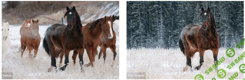 [topazlabs] Topaz ReMask 5.0.0 - плагин для Photoshop