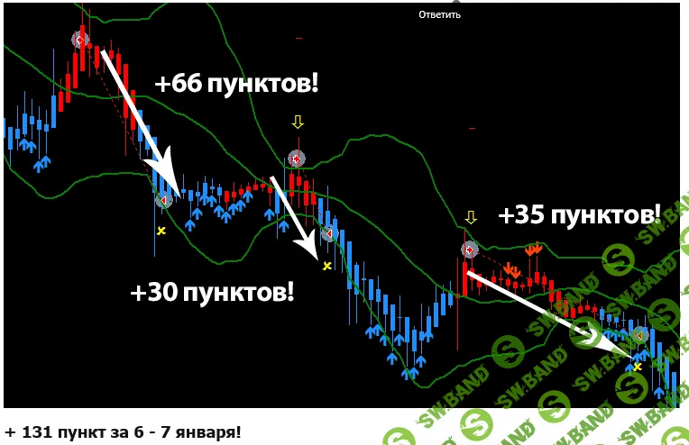 Торговая система Evolution