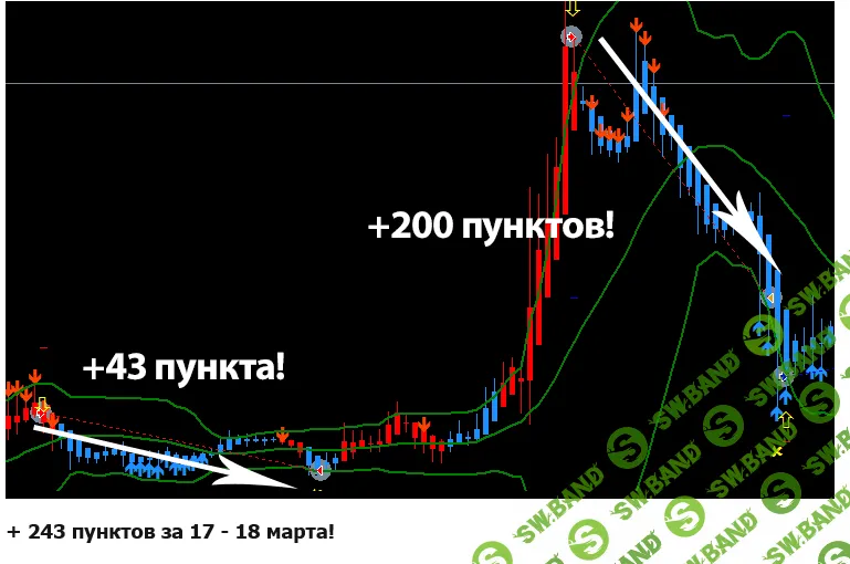 Торговая система Evolution