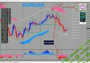 [Trade Interceptor] XMFX trading system (2019)