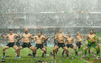 [tradelikeapro] Трансформация Трейдера