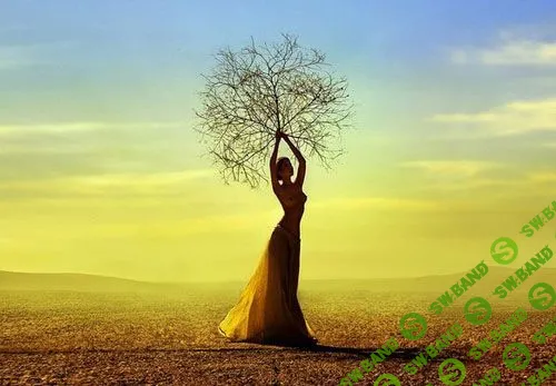 [Траектория Успеха] Гармония жизни