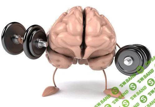 Тренируем извилины мозга