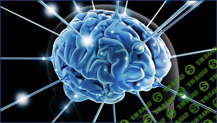 Тренируйте свой мозг для лучшей производительности