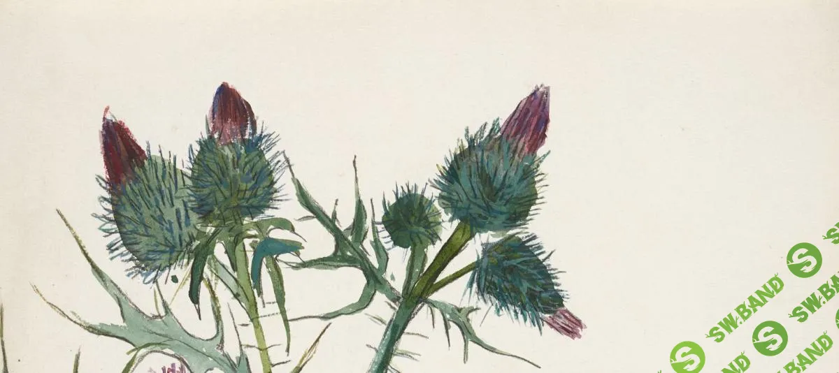 [Третьяковская галерея] Баллада о цветах - Чертополох (2023)