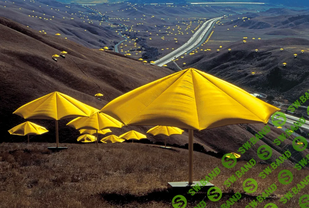 Три ступени. Forbes представил рейтинг франшиз — 2018