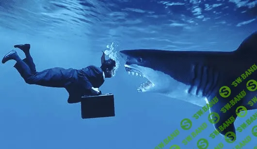 [Тришин] Бизнес и кризис: 7 шагов к успешному выживанию