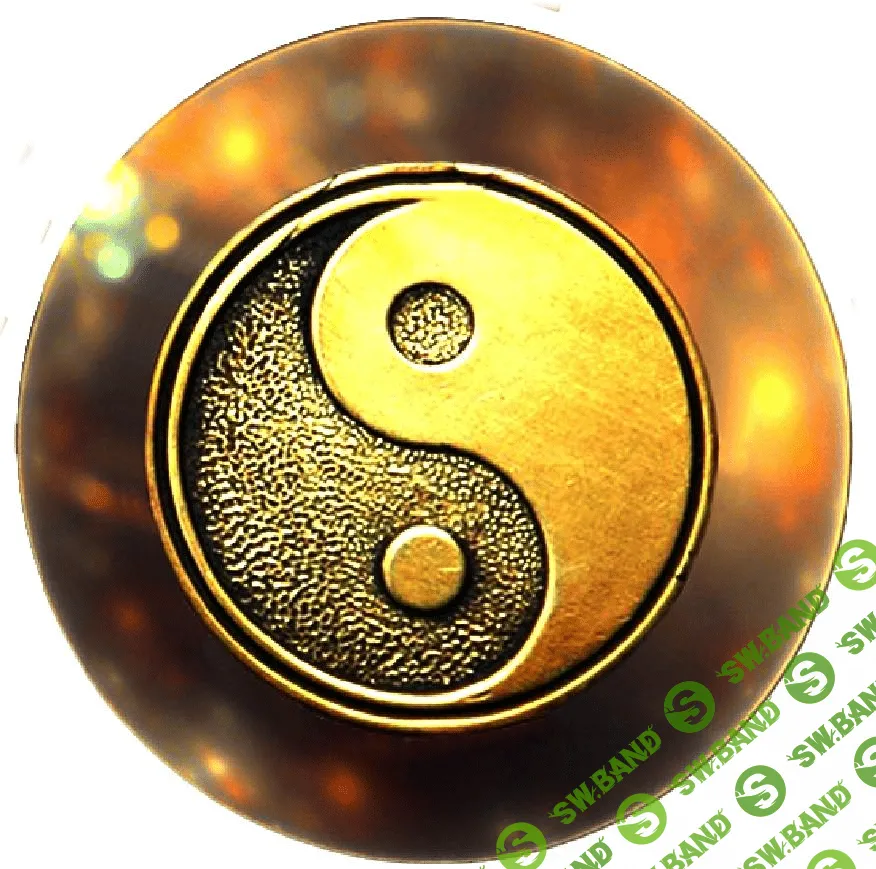 Учебно-исследовательский центр «Дао-Сфера»