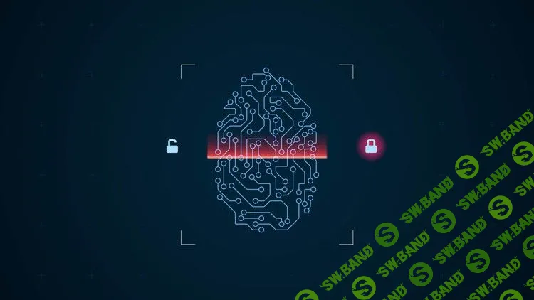 [Udemy] Цифровая криминалистика и бинарные эксплойты с Python (2018)