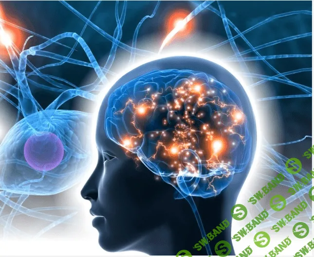 [Udеmy] Нейрoбиолoгия для личнoго рaзвития