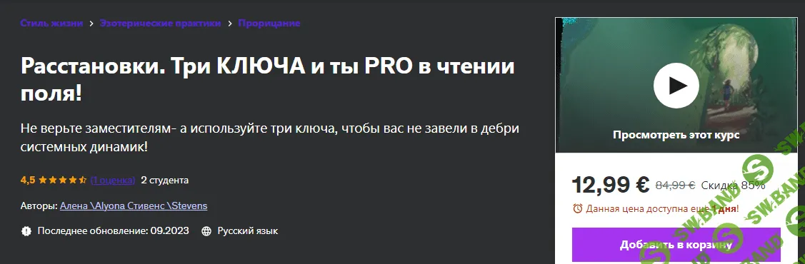 [Udemy] Расстановки. Безупречное чтение поля человека (2023)