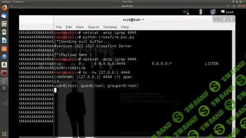 [Udemy] Введение в разработку эксплойтов начального уровня (2020)