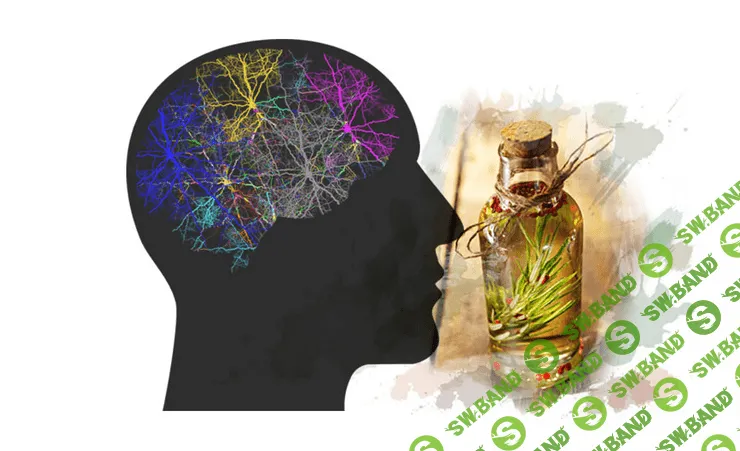 [Ульвия Голденбрук] Как выйти из сети пассивного режима мозга с помощью Ароматерапии (2023)