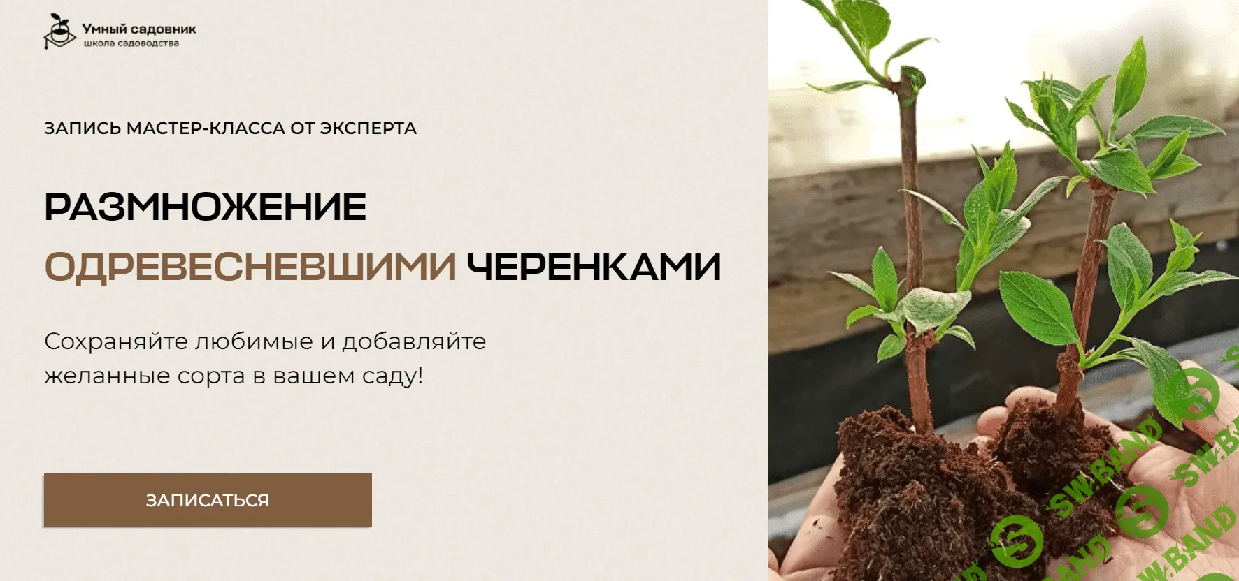 [Умный садовник] Размножение одревесневшими черенками (2023)