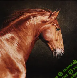 Урок маслом "Рыжик" [Юлия Дубинина]