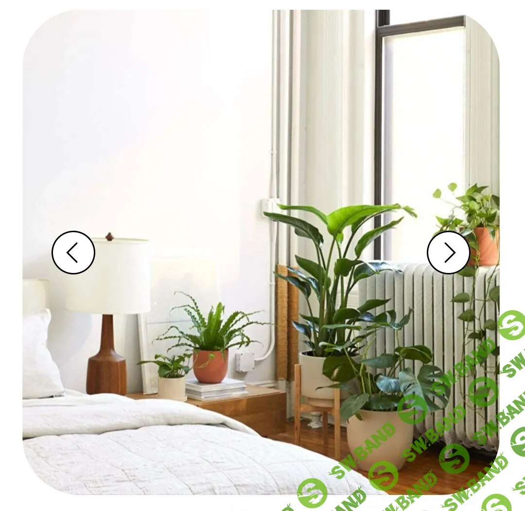 [Uutno] Комнатные растения в интерьере (2023)