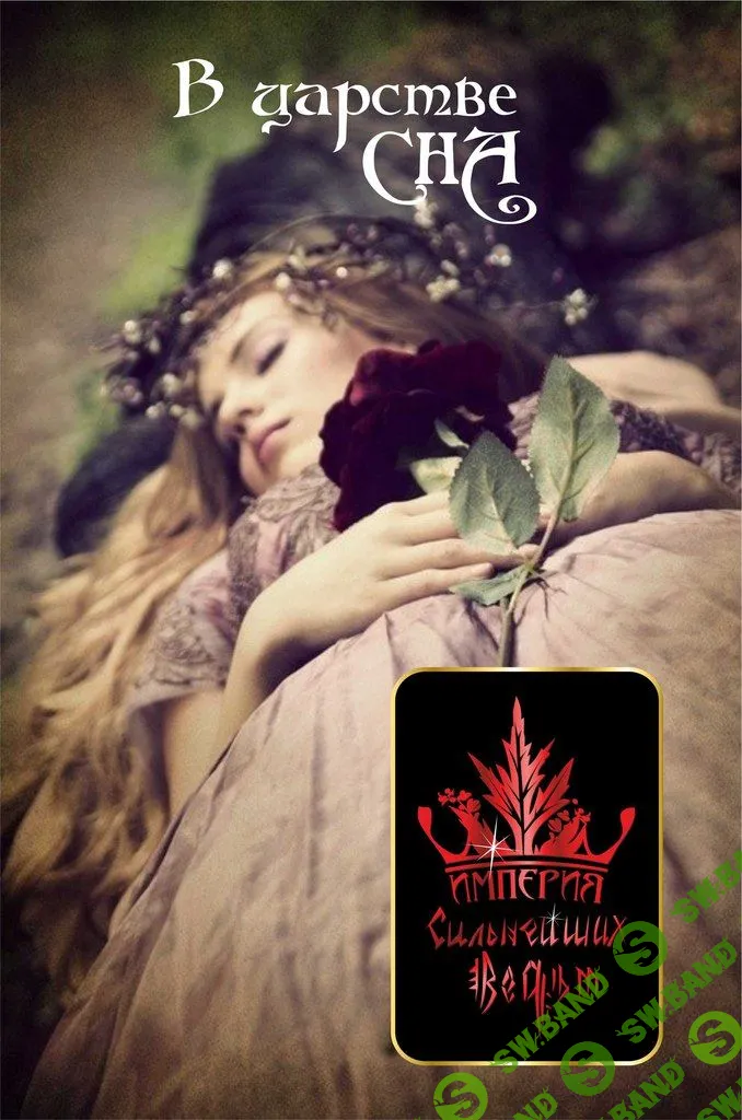 В царстве сна (Алена Полынь)