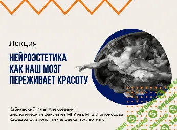 [vabrain, Илья Кабиольский] Нейроэстетика, или как наш мозг переживает красоту (2025)