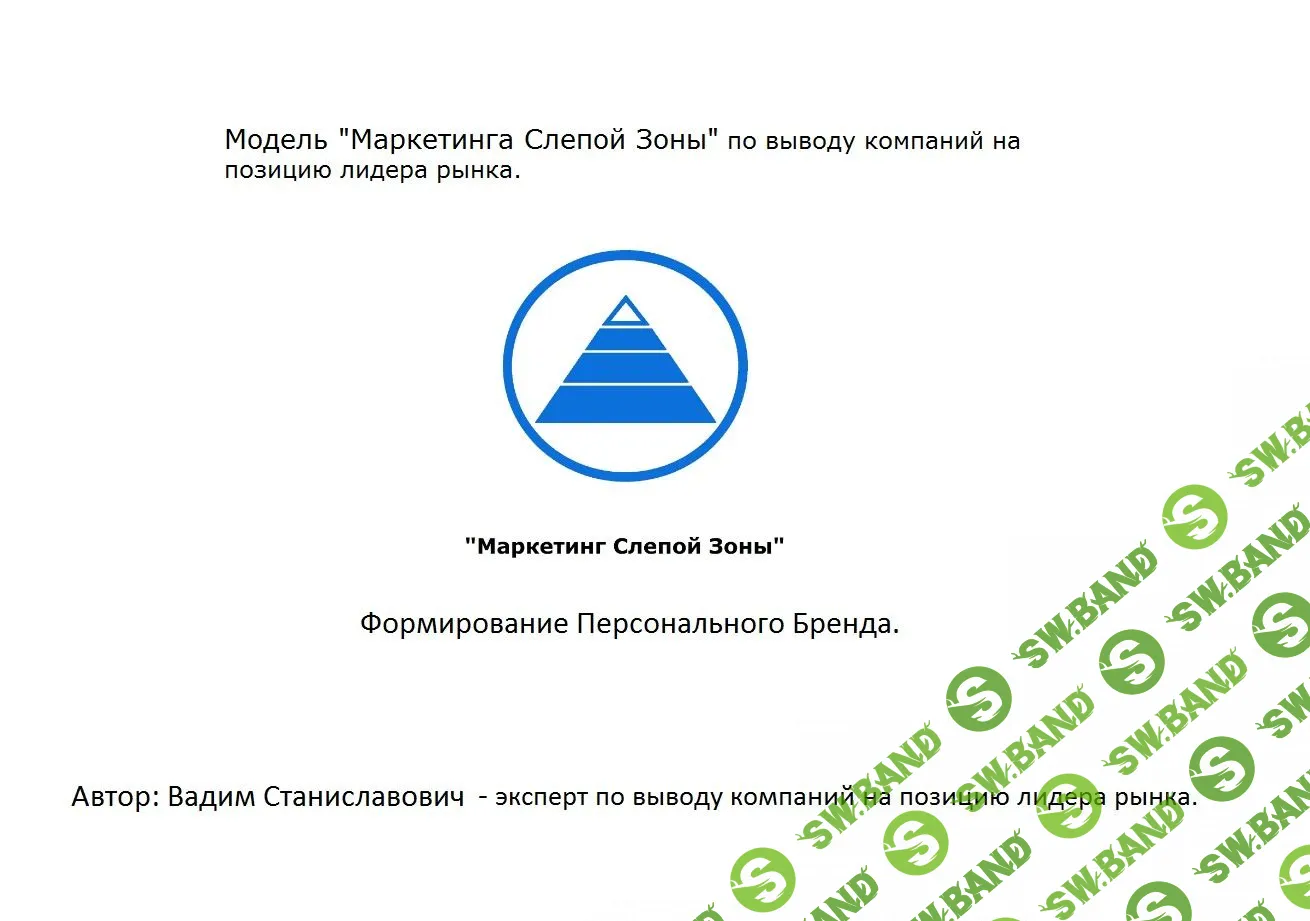 [Вадим Станиславович] Маркетинг слепой зоны по выводу компаний на позицию лидера рынка - 1 БЛОК