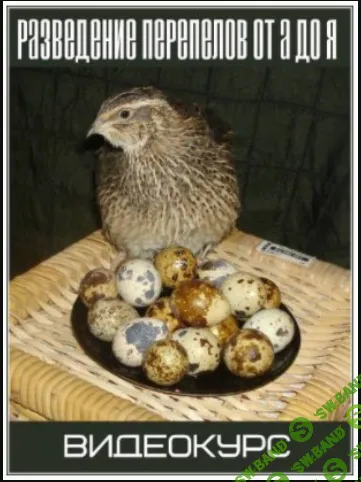 [Валентина Шеваренкова] Разведение перепелов от А до Я (2021)