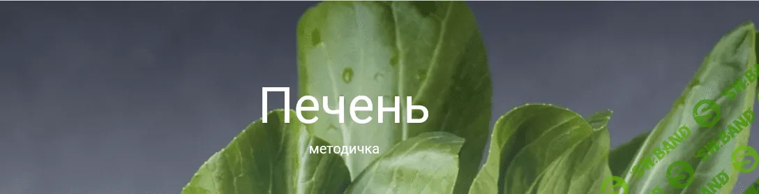 [Валентина Жукова] Методичка Печень + аналоги с российского рынка (2022)