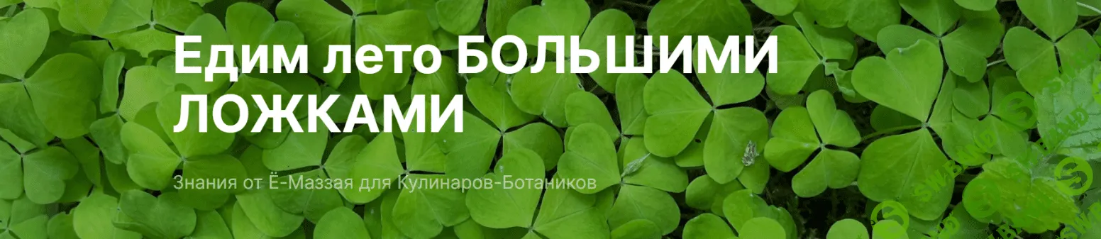 [Валерий Коршунов] Курс по дикоросам - Едим лето большими ложками (2024)