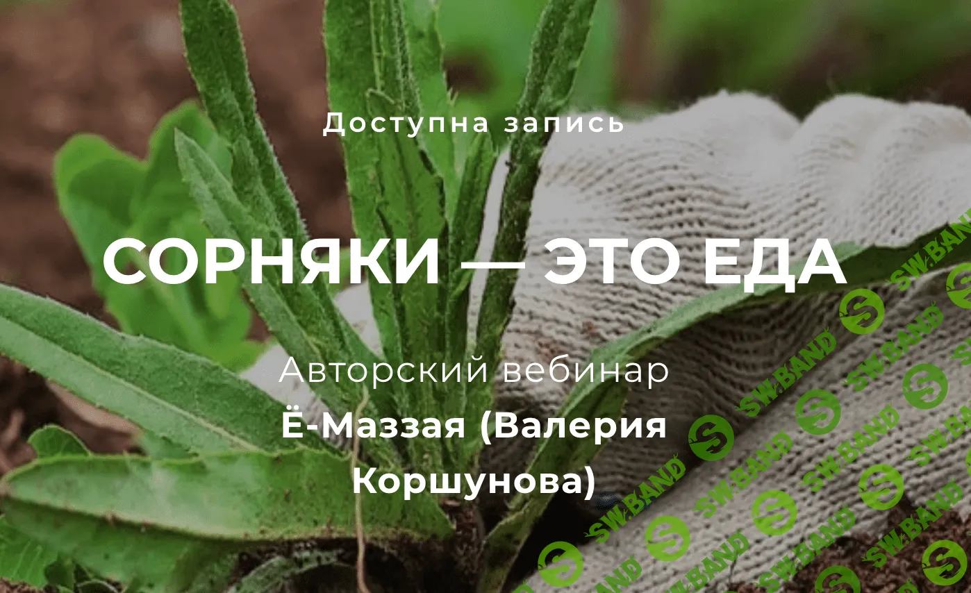 [Валерий Коршунов] Сорняки — это еда!