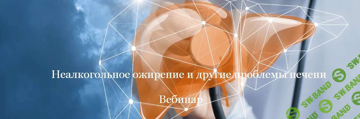[Валерий Подрубаев] [humberto 2.0] Неалкогольное ожирение и другие проблемы печени (2023)