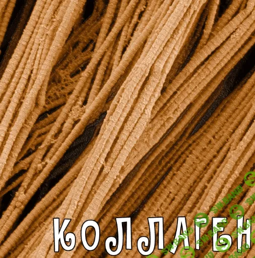 [Валерий Подрубаев] Коллаген от А до Я (2023)