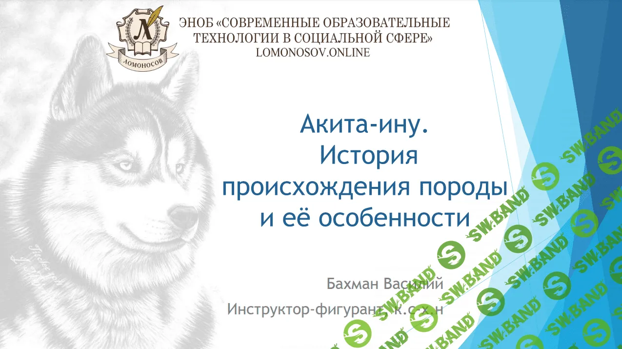 [Василий Бахман] Акита-ину. История происхождения породы и её особенности (2023)