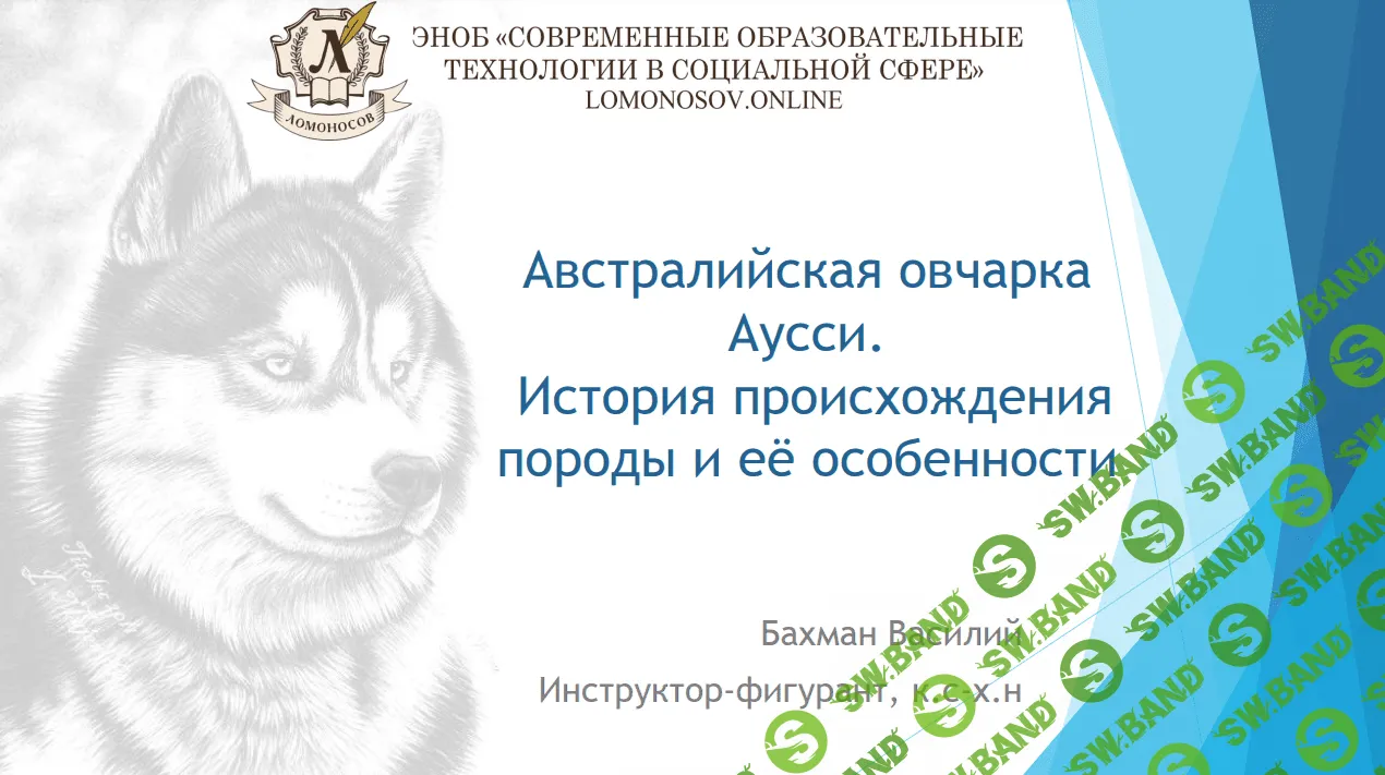 [Василий Бахман] Австралийская овчарка Аусси. История происхождения породы и ее особенности (2023)