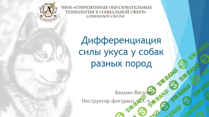 [Василий Бахман] Дифференциация силы укуса у собак разных пород (2023)