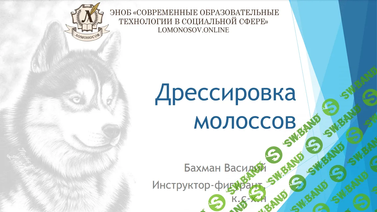 [Василий Бахман] Дрессировка Молоссов (2023)