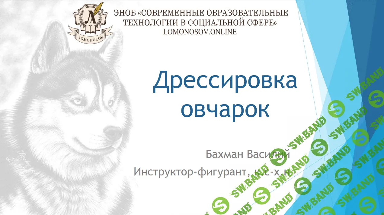 [Василий Бахман] Дрессировка овчарок (2023)