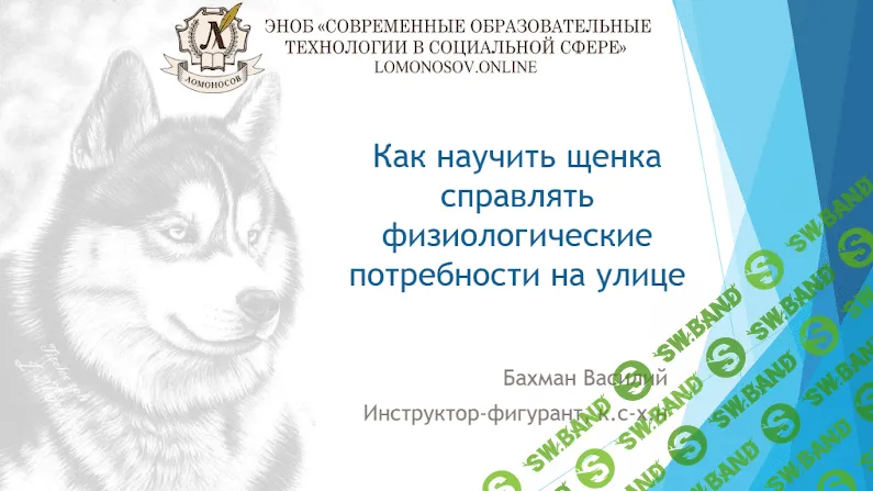 [Василий Бахман] Как приучить щенка справлять физиологические потребности на улице. (2023)