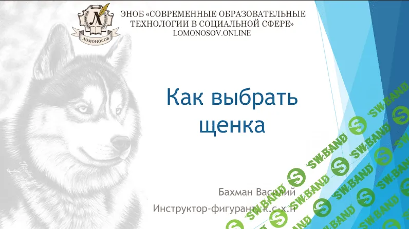 [Василий Бахман] Как выбрать щенка (2023)