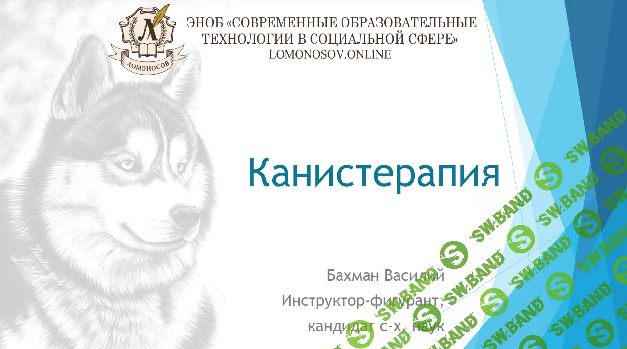 [Василий Бахман] Канистерапия (2023)