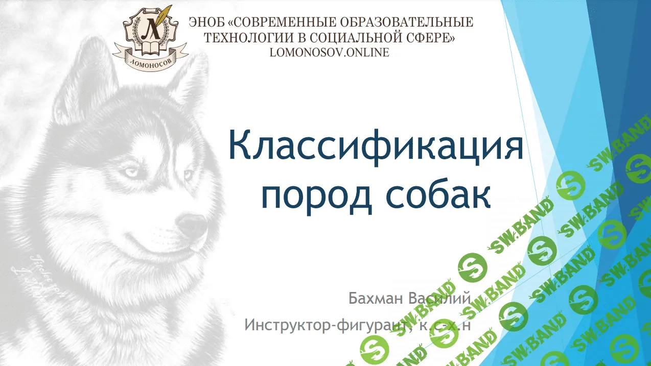 [Василий Бахман] Классификация пород собак (2023)