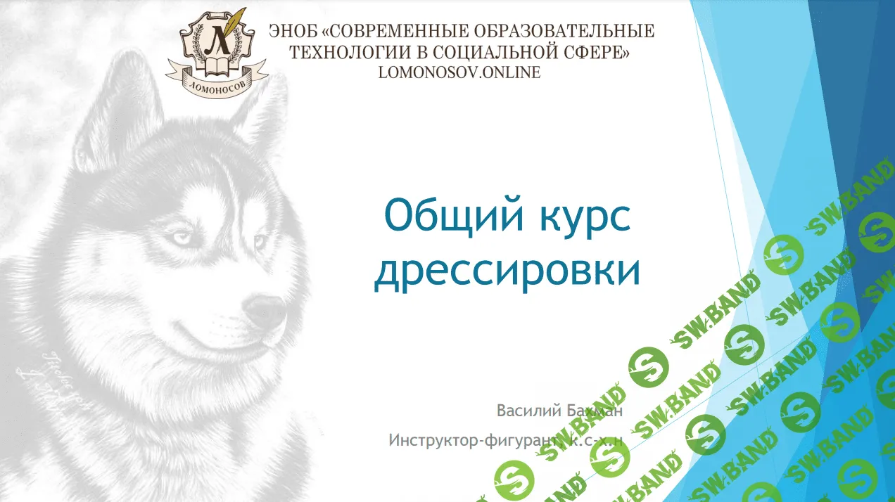 [Василий Бахман] Общий курс дрессировки (2023)