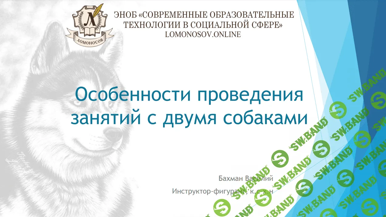 [Василий Бахман] Особенности проведения занятий с двумя собаками (2023)