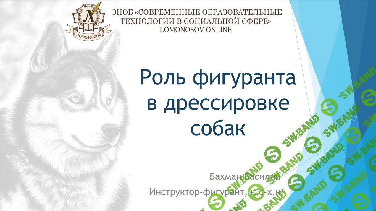 [Василий Бахман] Роль фигуранта в дрессировке собак (2023)