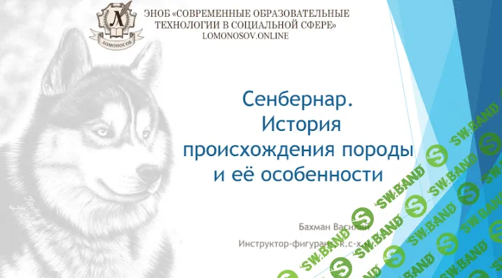 [Василий Бахман] Сенбернар. История породы и её особенности (2023)