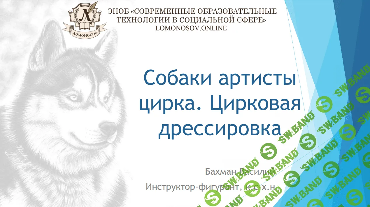 [Василий Бахман] Собаки артисты цирка. Цирковая дрессировка (2023)