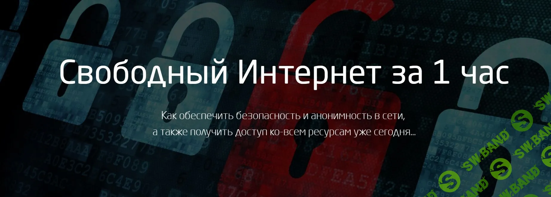 [Василий Медведев, Азамат Арсланов] Свободный Интернет за 1 час (2018)
