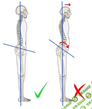 Вебинар Елены Бобковой об осанке